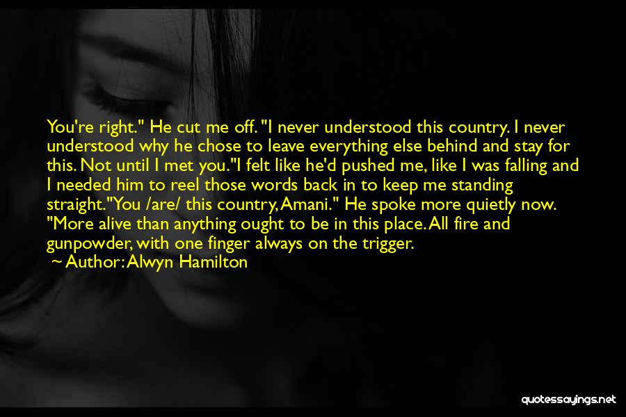 Having To Leave Someone Behind Quotes By Alwyn Hamilton