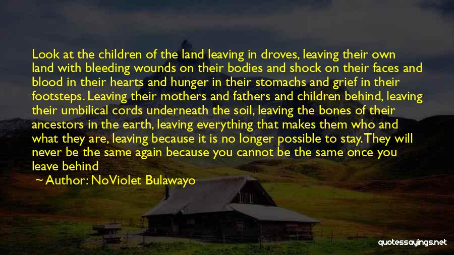 Having To Leave Someone Behind Quotes By NoViolet Bulawayo