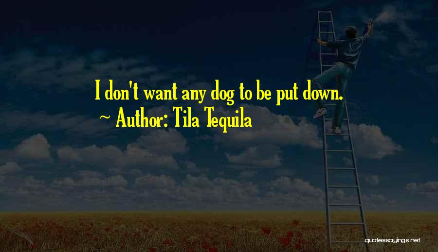 Having To Put Down A Dog Quotes By Tila Tequila