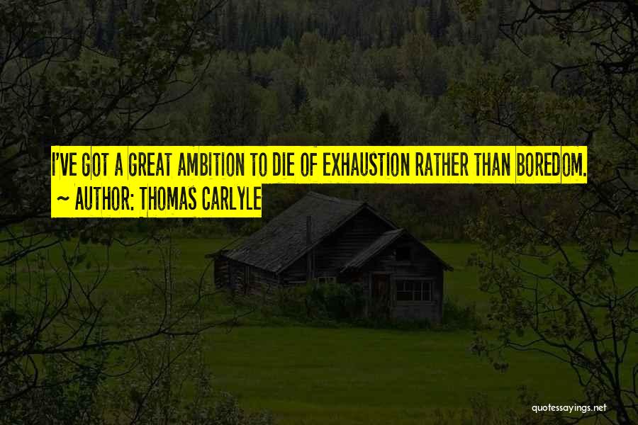 Having Too Much Ambition Quotes By Thomas Carlyle