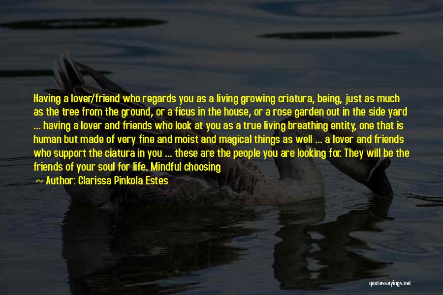 Having True Friends Quotes By Clarissa Pinkola Estes