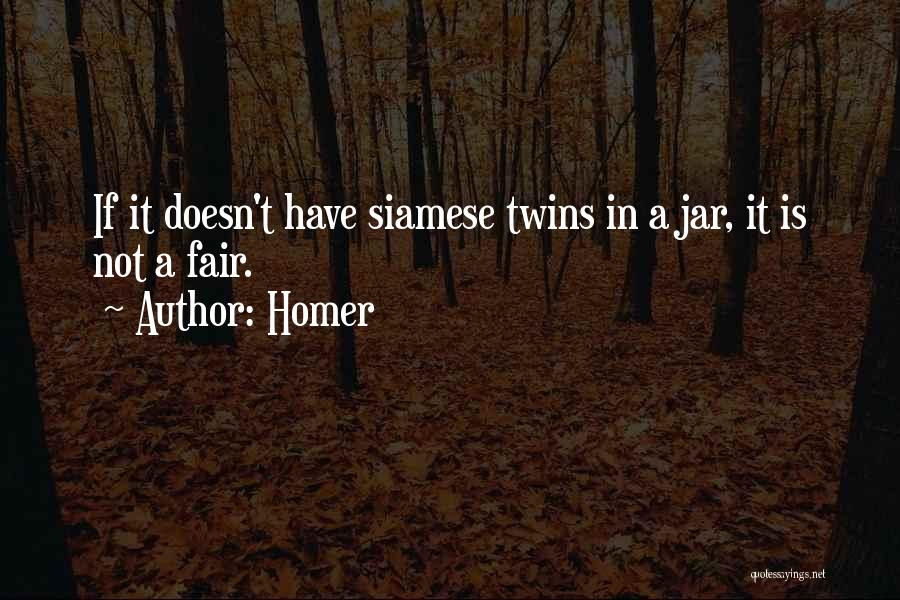 Having Twins Funny Quotes By Homer