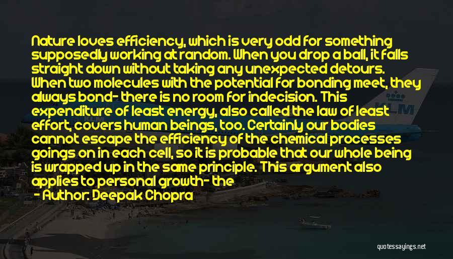 Having Two Loves Quotes By Deepak Chopra