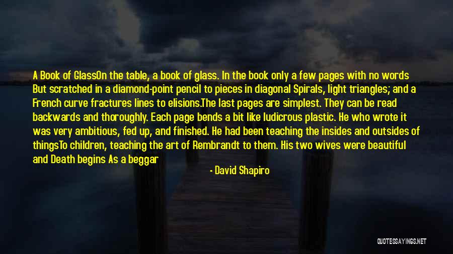 Having Two Wives Quotes By David Shapiro