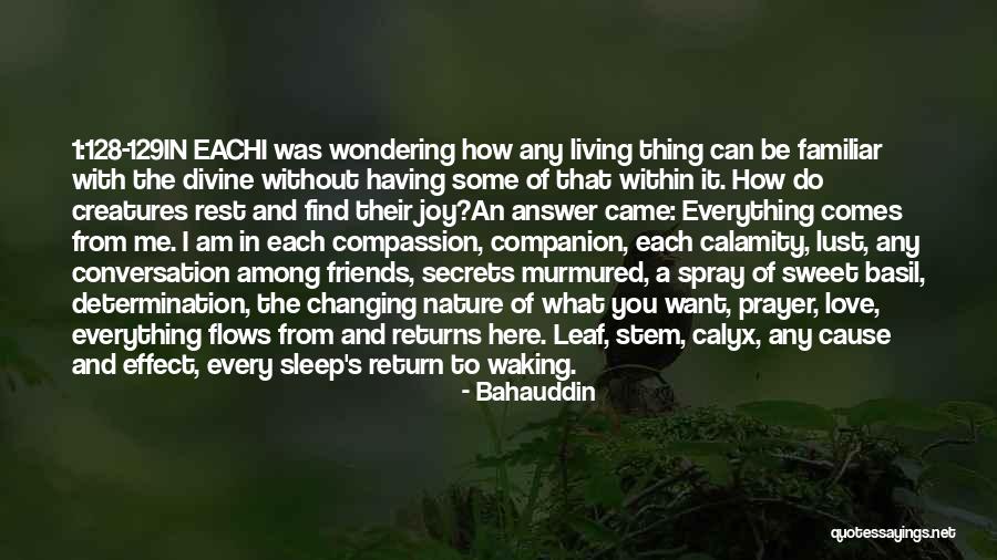 Having What You Want Quotes By Bahauddin Having What You Want Quotes By Bahauddin