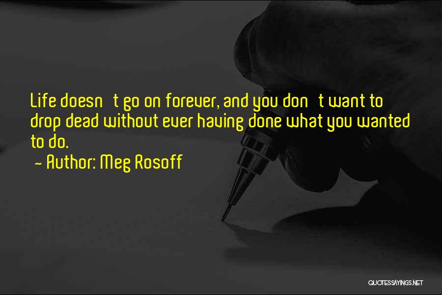 Having What You Want Quotes By Meg Rosoff