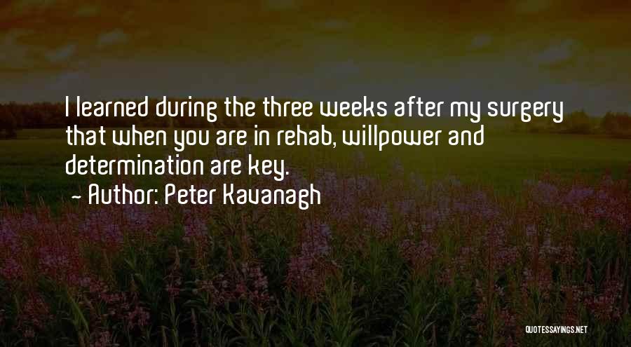 Having Willpower Quotes By Peter Kavanagh