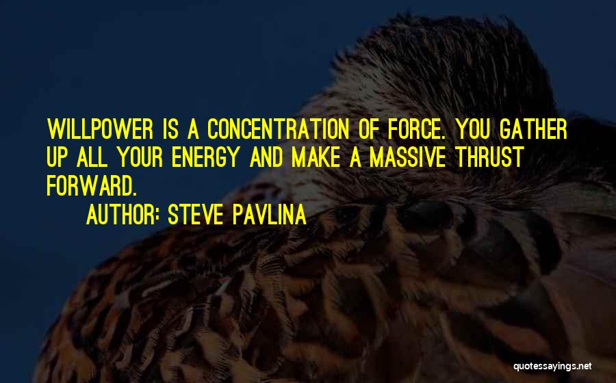 Having Willpower Quotes By Steve Pavlina