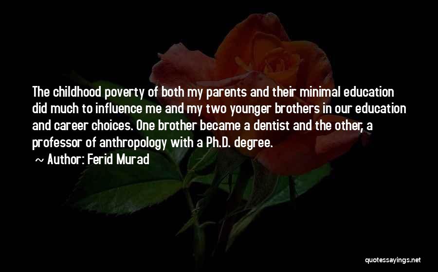 Having Younger Brothers Quotes By Ferid Murad