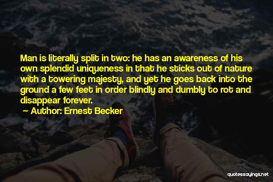 Having Your Feet On The Ground Quotes By Ernest Becker