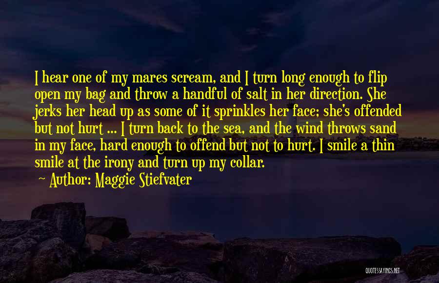 Having Your Head In The Sand Quotes By Maggie Stiefvater