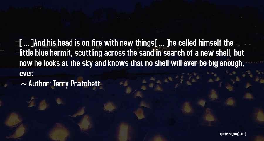 Having Your Head In The Sand Quotes By Terry Pratchett