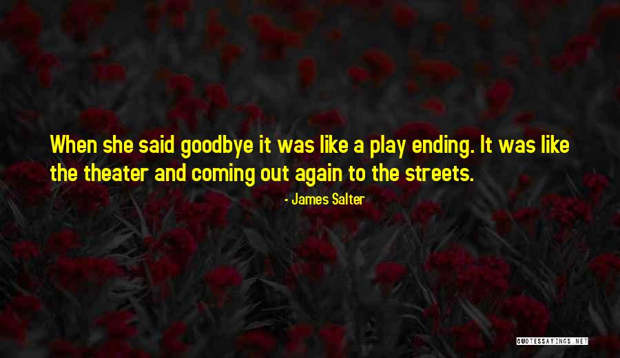 Havings Quotes By James Salter Havings Quotes By James Salter