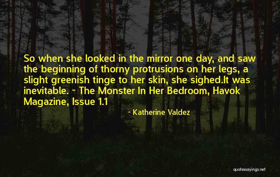 Havok Quotes By Katherine Valdez