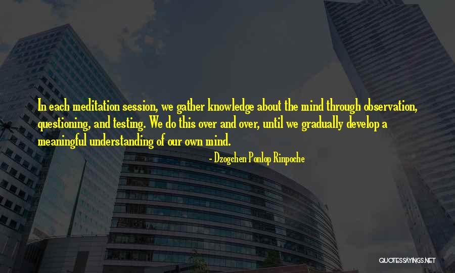 Hawata Quotes By Dzogchen Ponlop Rinpoche Hawata Quotes By Dzogchen Ponlop Rinpoche