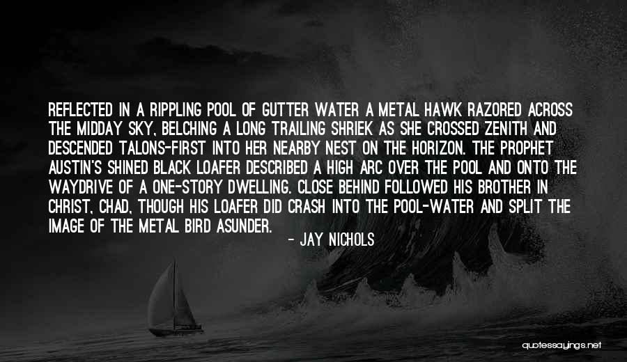 Hawk Bird Quotes By Jay Nichols Hawk Bird Quotes By Jay Nichols