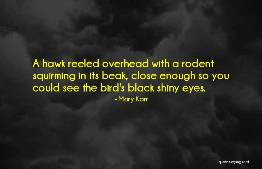 Hawk Bird Quotes By Mary Karr Hawk Bird Quotes By Mary Karr
