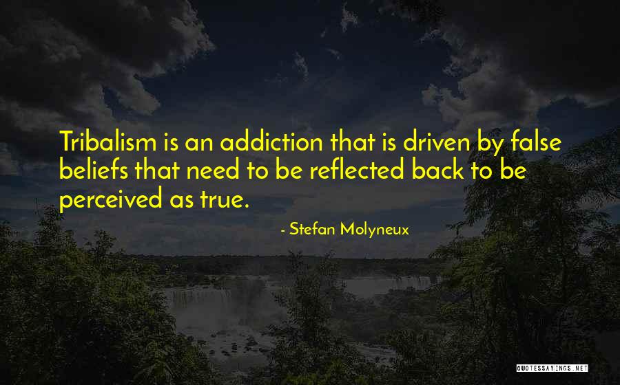 Hawk Roosting Key Quotes By Stefan Molyneux Hawk Roosting Key Quotes By Stefan Molyneux