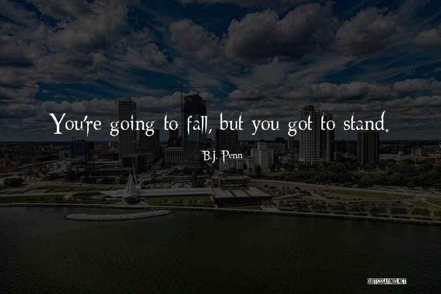 Hawkbit From Watership Quotes By B.J. Penn