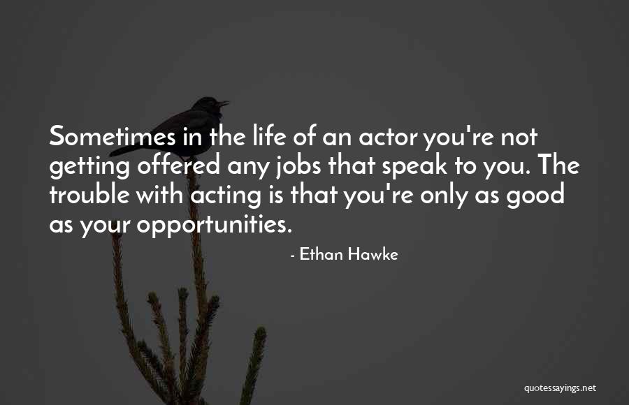 Hawke Quotes By Ethan Hawke