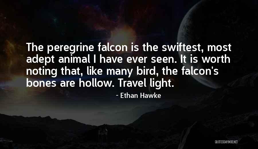 Hawke Quotes By Ethan Hawke