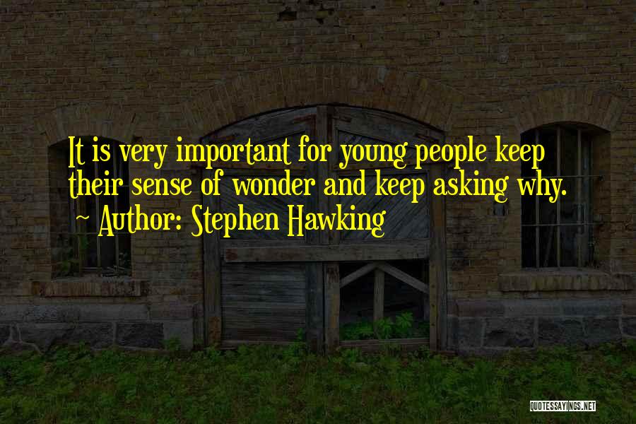 Hawking Quotes By Stephen Hawking