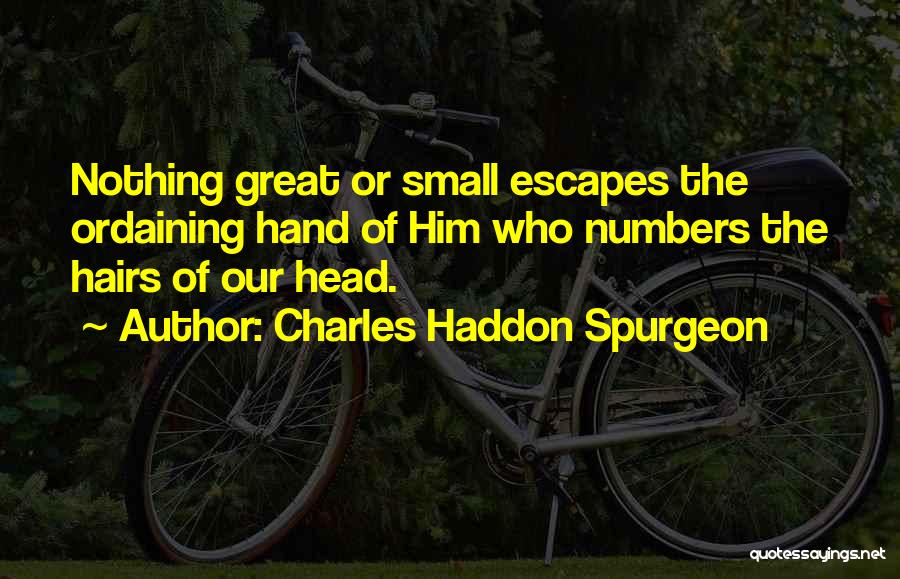 Hawkline Brush Quotes By Charles Haddon Spurgeon