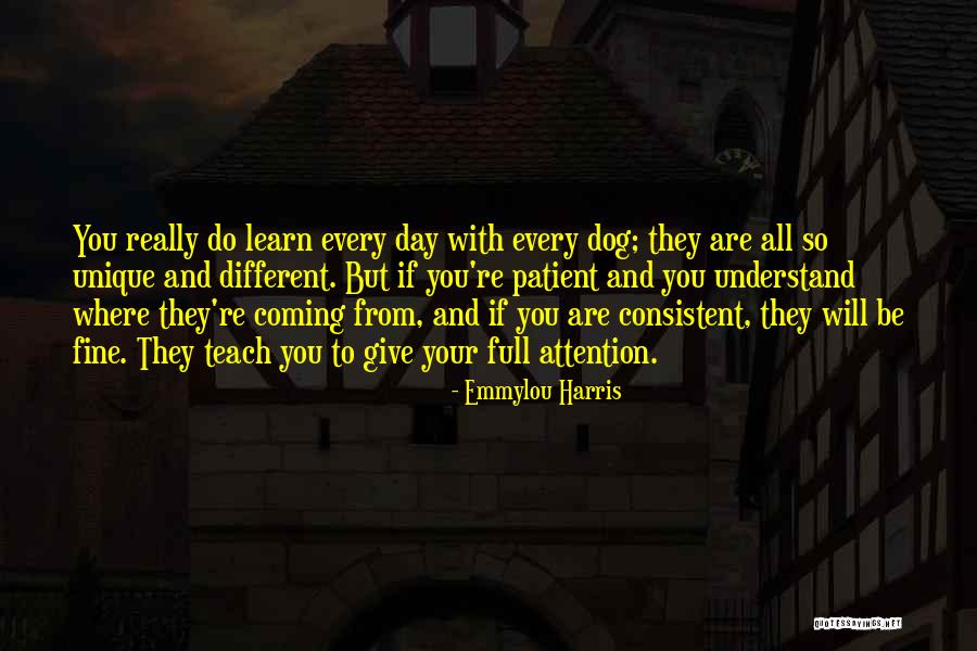 Hawns Outdoor Power Equipment Inc Quotes By Emmylou Harris Hawns Outdoor Power Equipment Inc Quotes By Emmylou Harris