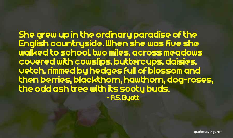 Hawthorn Blossom Quotes By A.S. Byatt Hawthorn Blossom Quotes By A.S. Byatt