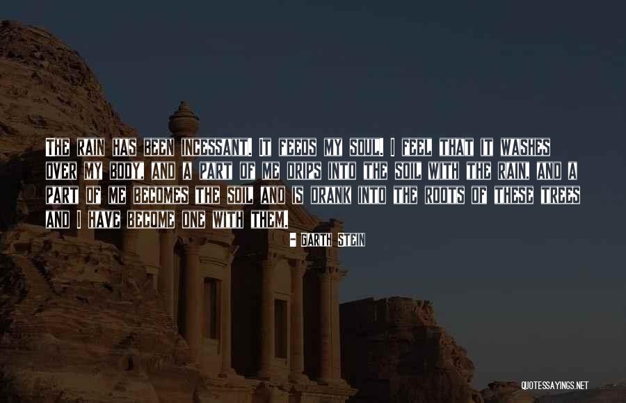 Hawvermale Quotes By Garth Stein Hawvermale Quotes By Garth Stein
