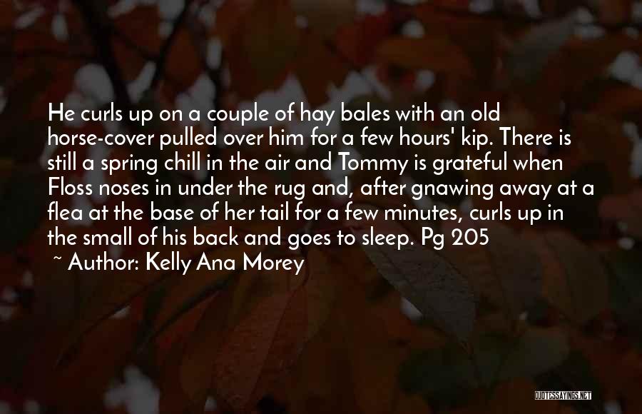 Hay Bales Quotes By Kelly Ana Morey