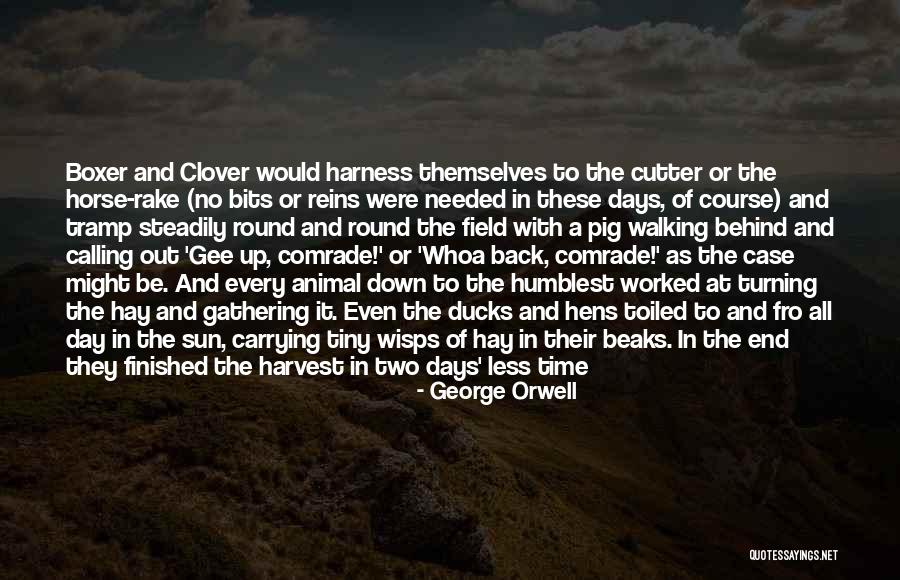 Hay Day Quotes By George Orwell Hay Day Quotes By George Orwell