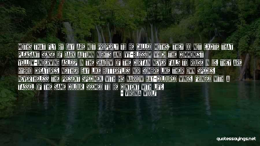 Hay Day Quotes By Virginia Woolf Hay Day Quotes By Virginia Woolf