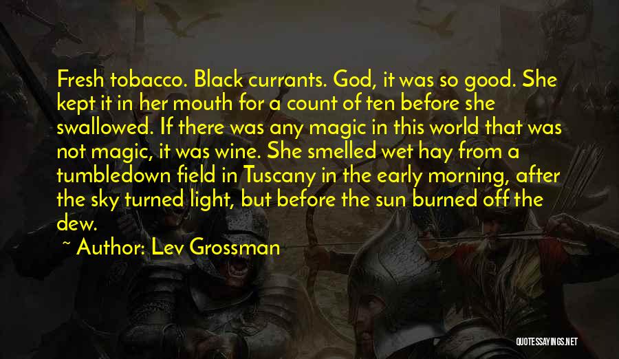 Hay Field Quotes By Lev Grossman