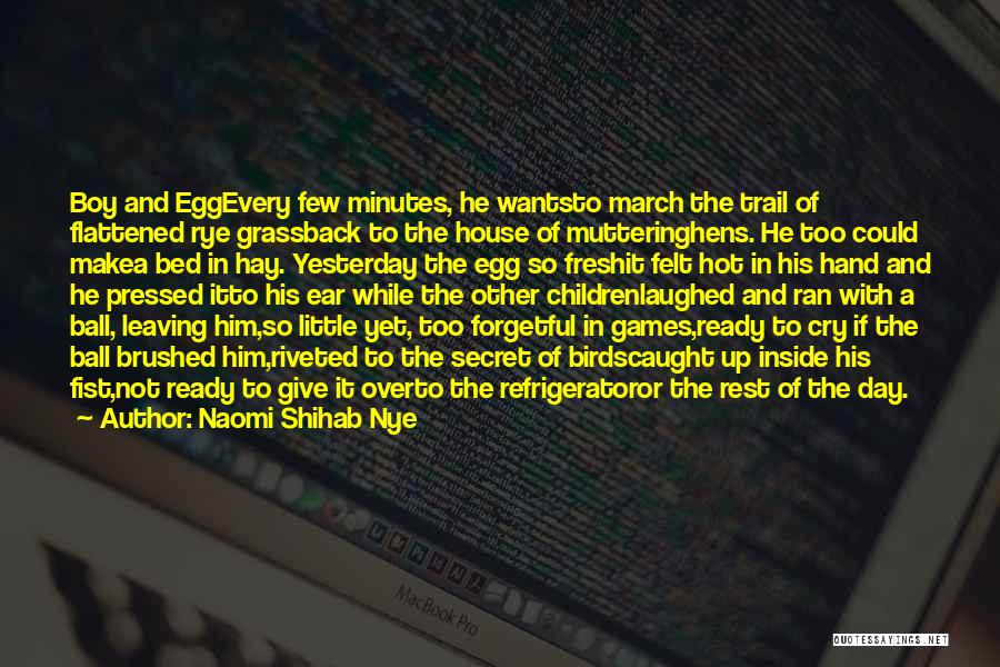 Hay House Quotes By Naomi Shihab Nye