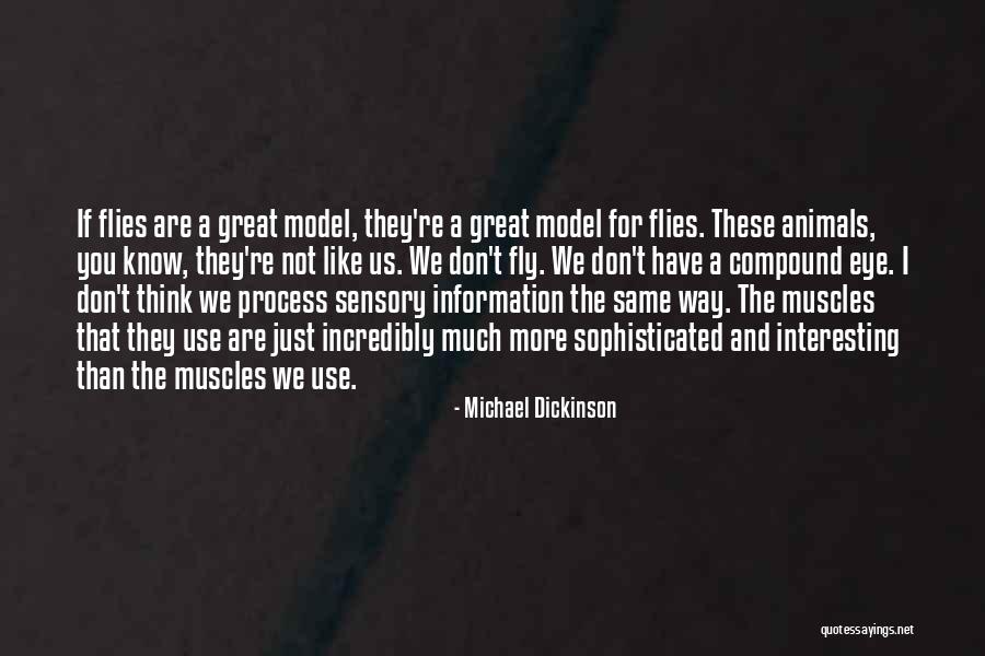 Hay Salamat Quotes By Michael Dickinson Hay Salamat Quotes By Michael Dickinson
