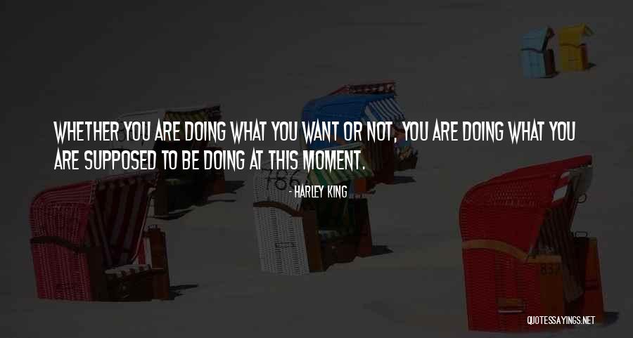 Hayabusa 2021 Quotes By Harley King Hayabusa 2021 Quotes By Harley King