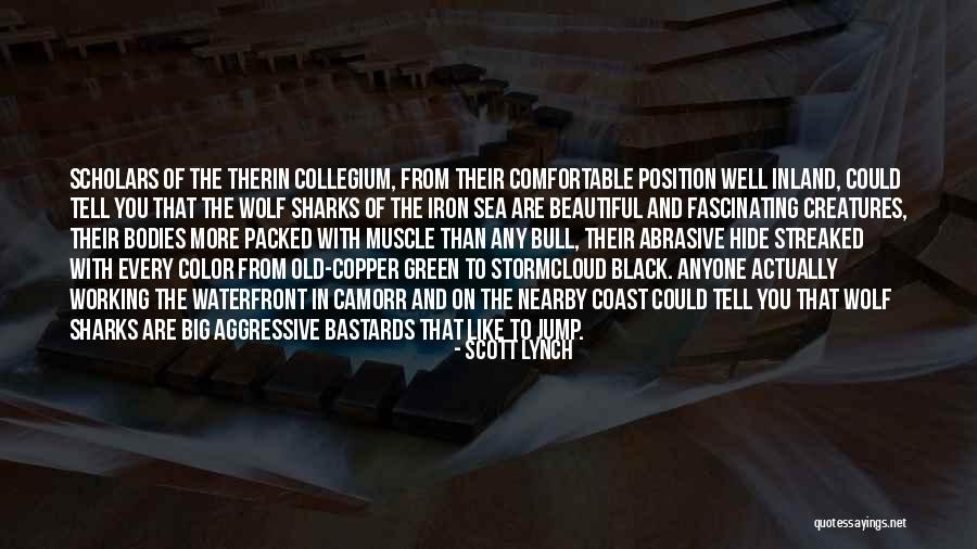 Hayabusa Parts Quotes By Scott Lynch Hayabusa Parts Quotes By Scott Lynch