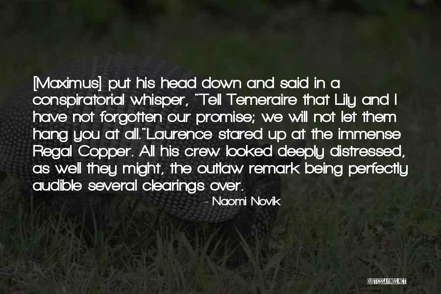 Hayami Saori Quotes By Naomi Novik Hayami Saori Quotes By Naomi Novik