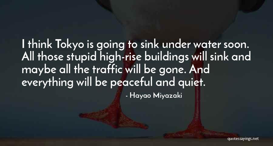 Hayao Quotes By Hayao Miyazaki