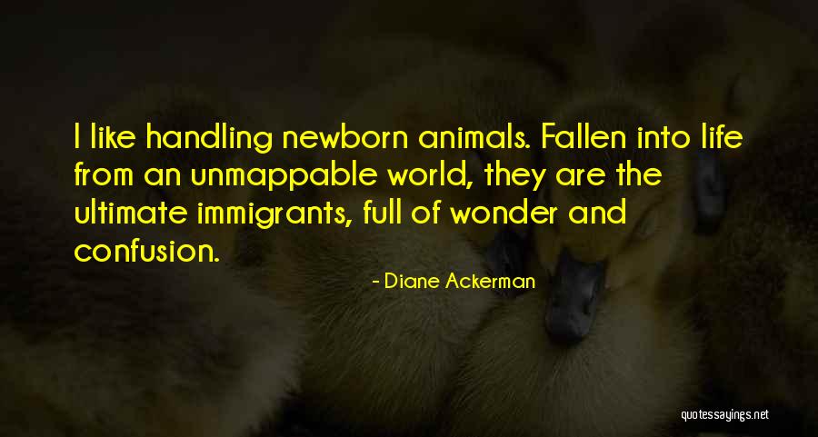 Hayattan Bikkinlik Quotes By Diane Ackerman Hayattan Bikkinlik Quotes By Diane Ackerman