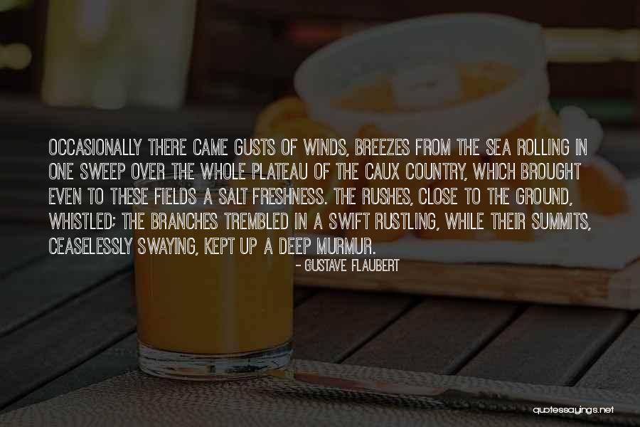Haycraft Beach Quotes By Gustave Flaubert Haycraft Beach Quotes By Gustave Flaubert