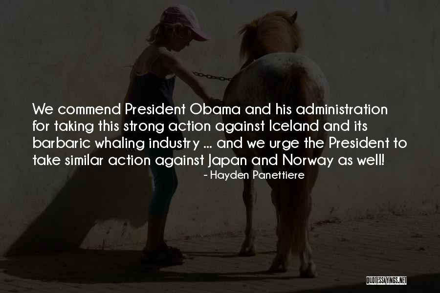 Hayden Panettiere Quotes 2112749 Hayden Panettiere Quotes 2112749