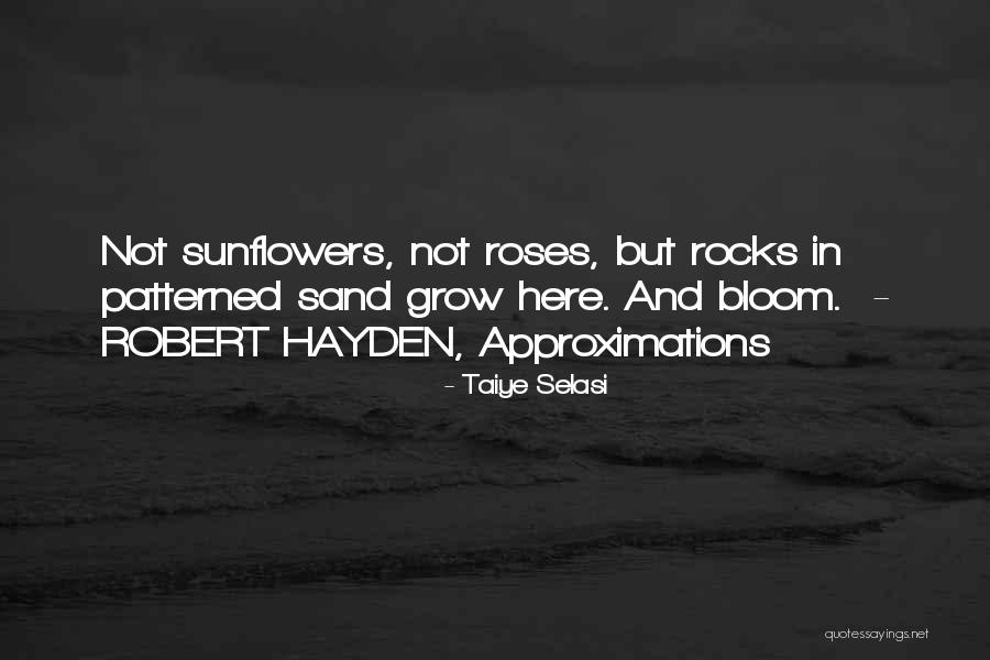 Hayden Quotes By Taiye Selasi