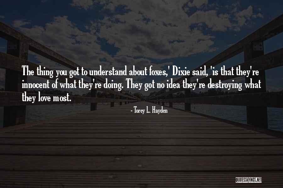 Hayden Quotes By Torey L. Hayden