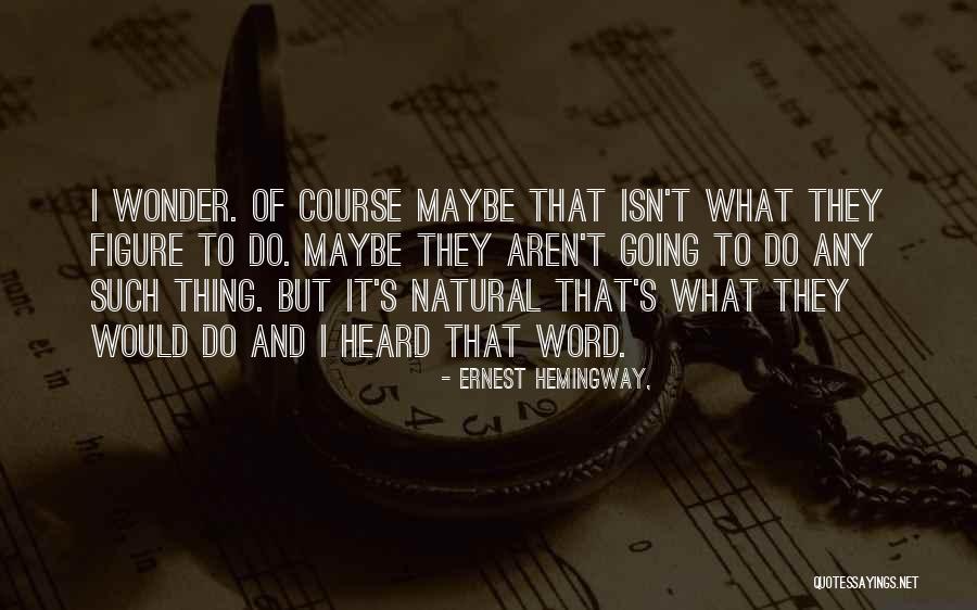 Haydite Quotes By Ernest Hemingway, Haydite Quotes By Ernest Hemingway,