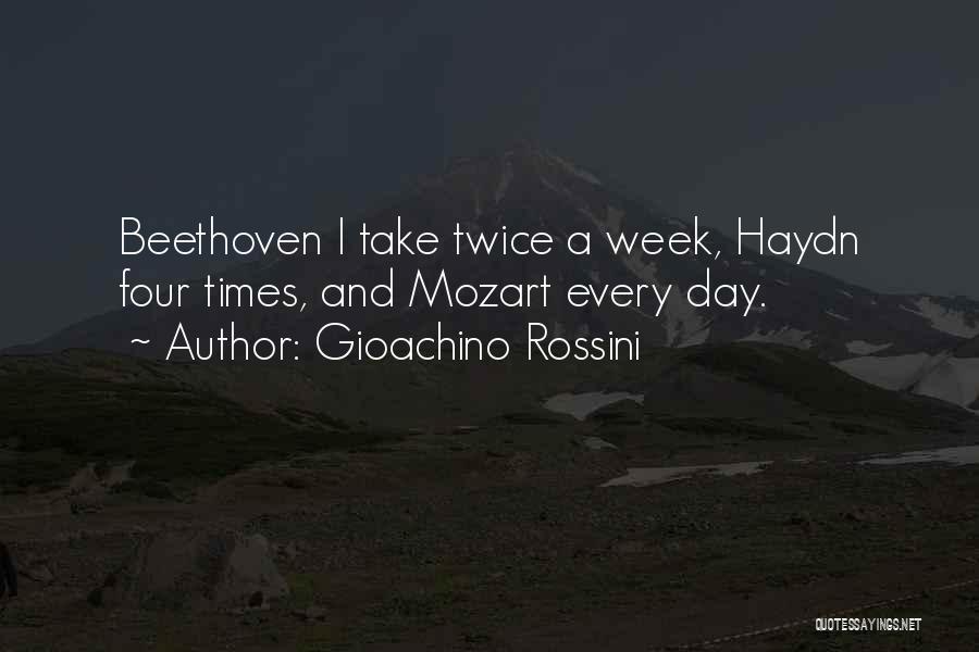 Haydn Quotes By Gioachino Rossini