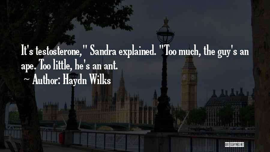 Haydn Wilks Quotes 1449277