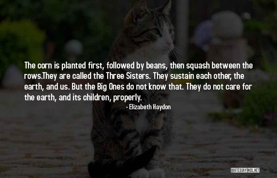 Haydon Quotes By Elizabeth Haydon Haydon Quotes By Elizabeth Haydon