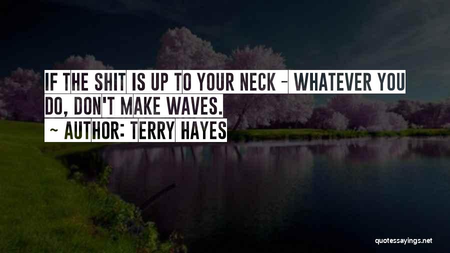 Hayes Quotes By Terry Hayes